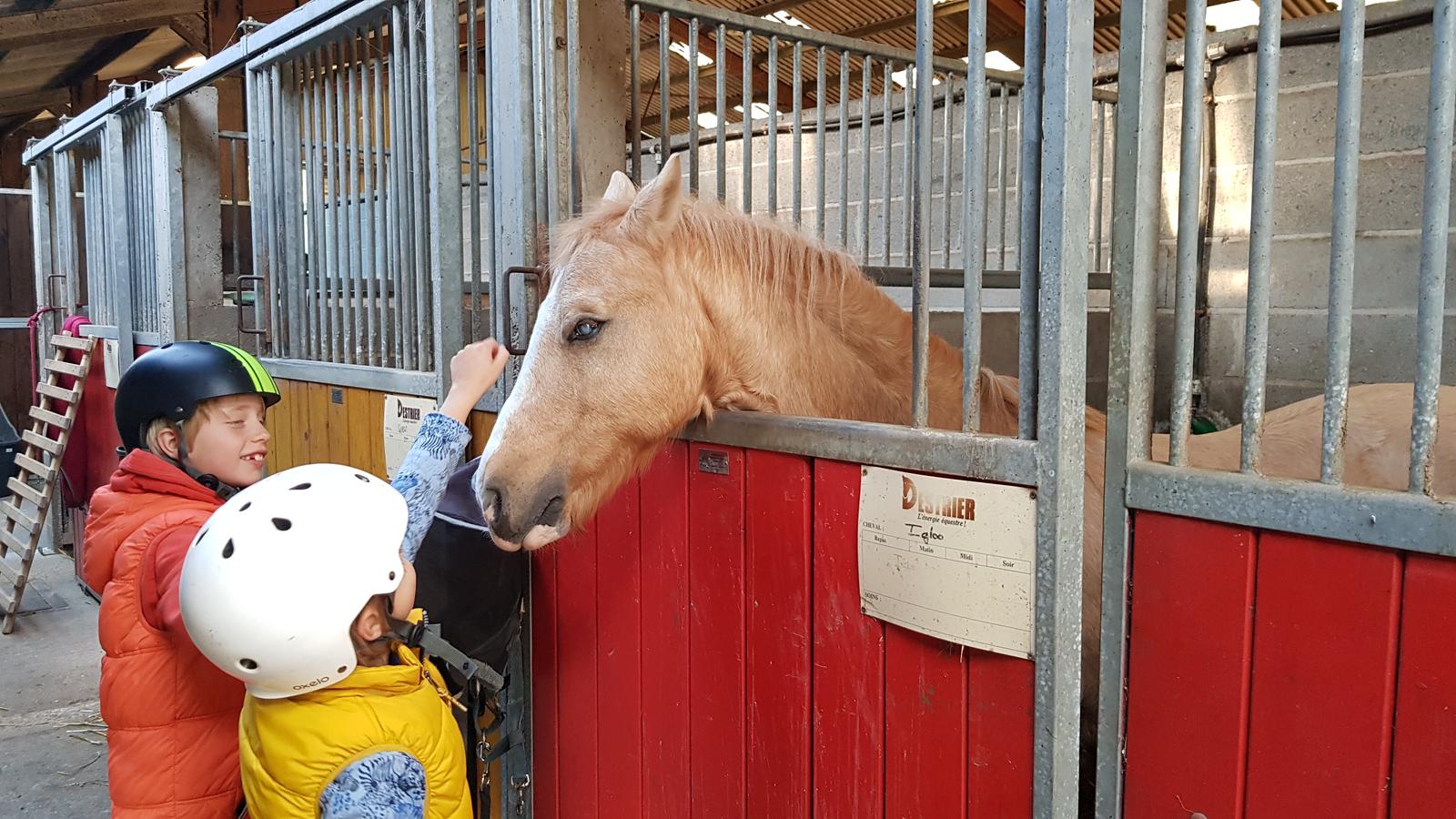 Conty : écuries de la roulotte "Selle insolite" 30