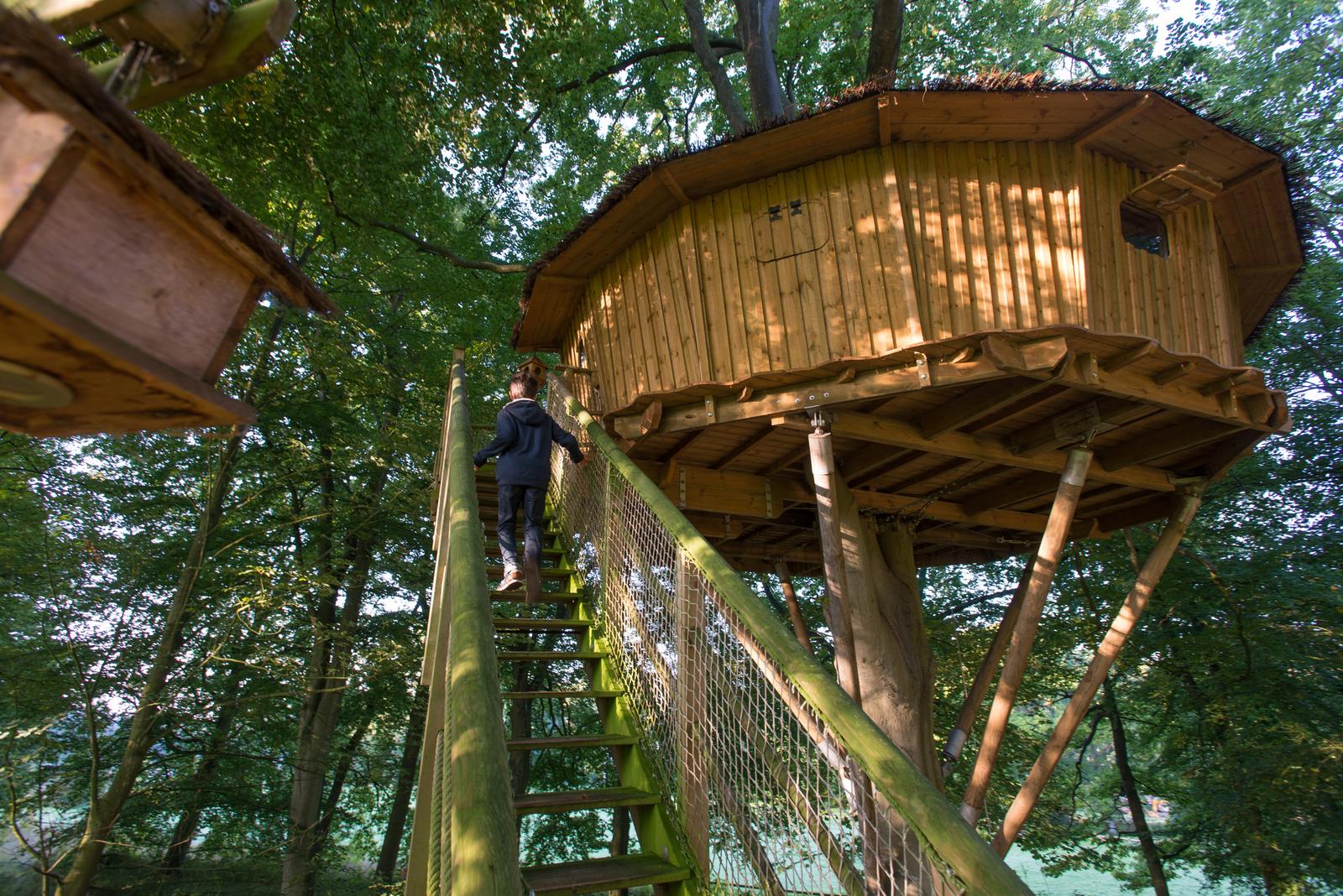 Port-le-Grand : château des Tilleuls, cabane dans les arbres 27