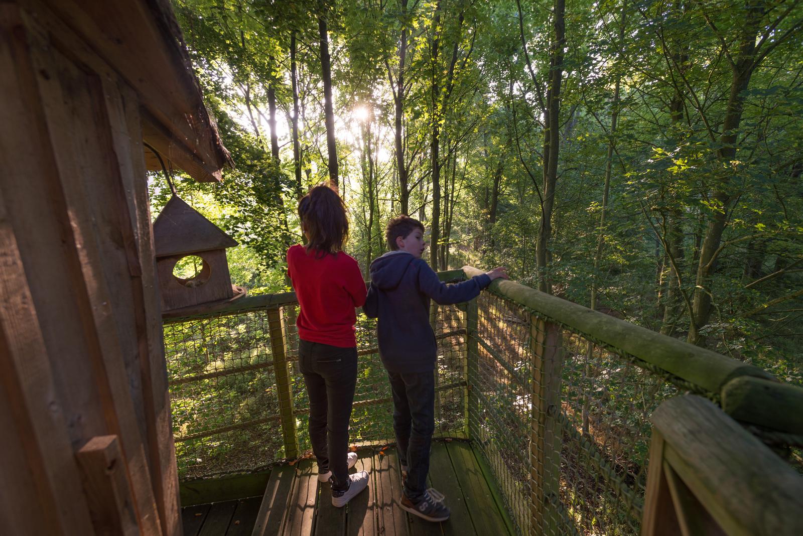 Port-le-Grand : château des Tilleuls, cabane dans les arbres 28